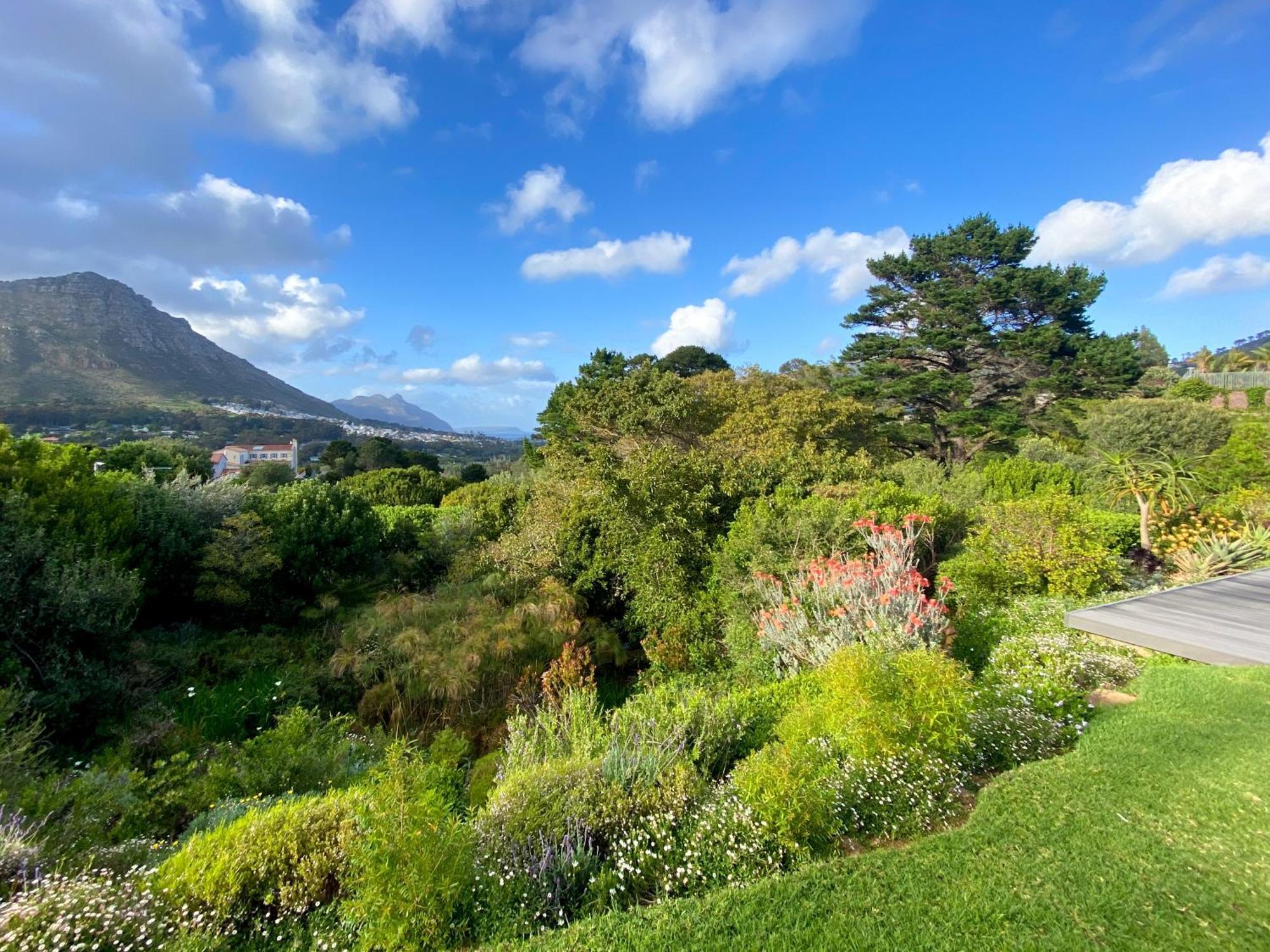 Luxe Family Home With Solar Power In Secure Hout Bay Estate Kapstaden Eksteriør billede